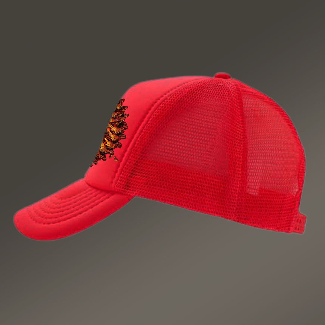 GORRA ESPIRAL MARIPOSAS